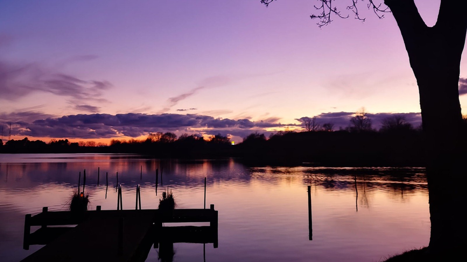 Inde i privaten – Palle Nevad Frandsen